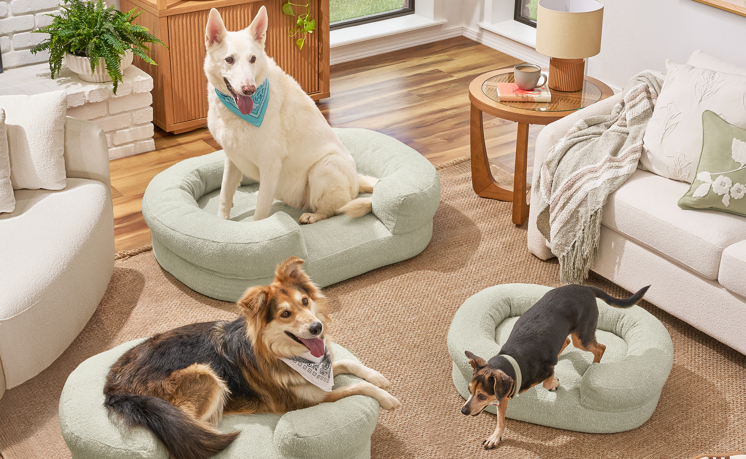 PetsFinalCropped